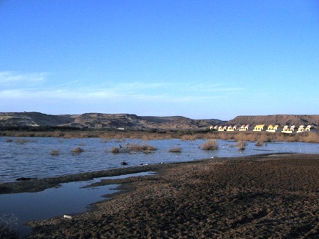 Bahariya Oases 15