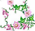my fav flowers