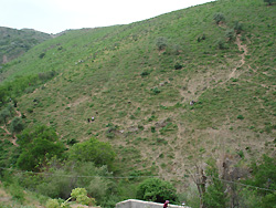 Nature of Uzbekistan in spring