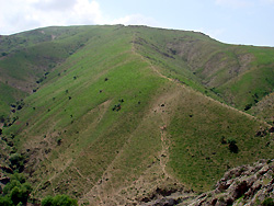 Uzbek nature