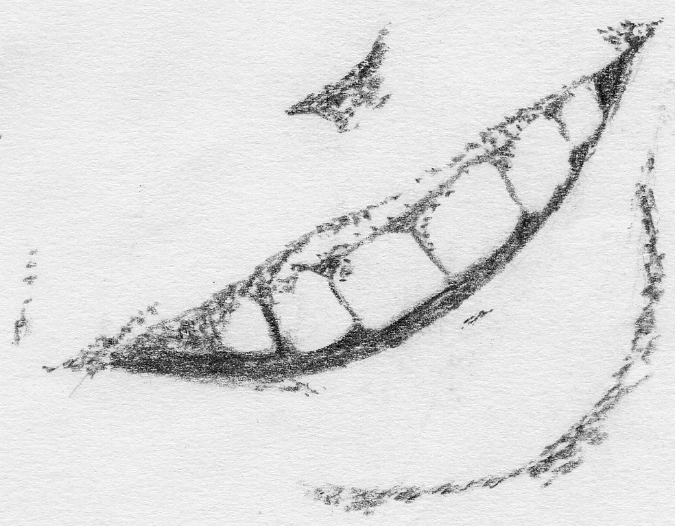 mouth