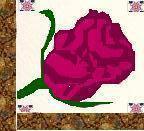 Red Rose