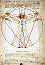 VITRUVIAN MAN DROP