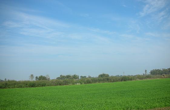 Green Nepal