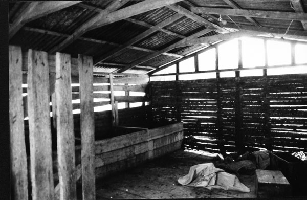 Cacao Fermenting