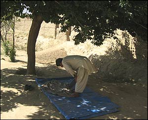 Afternoon prayers