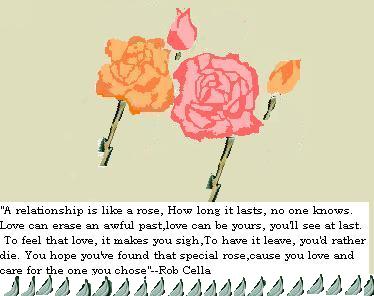 relationship is like a rose