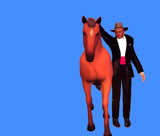 My horse