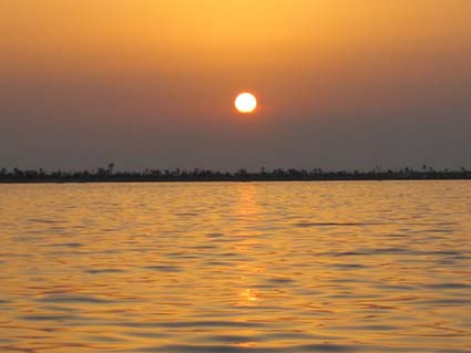 Pictures from Tunisia (Kerkennah Island)...