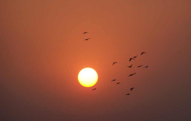 The Setting Sun