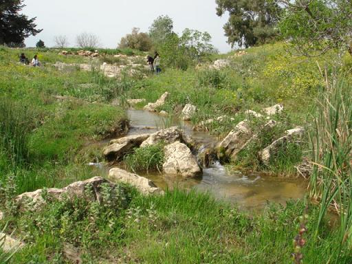 Pictures from the northern Tunisia (Djebba)...