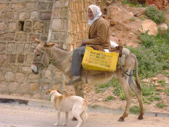 A man on his donkey :) !