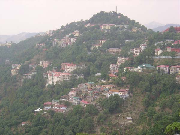 Shimla