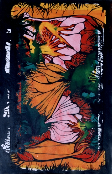 AMAZONIA  1