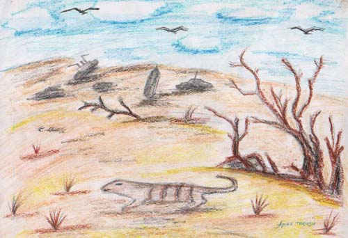 The desert