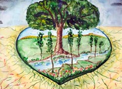 The Heart of Nature