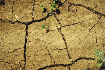 DROUGHT
