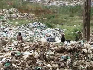 More Plastic Bags, More Garbage, More Work