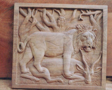 A lion in action