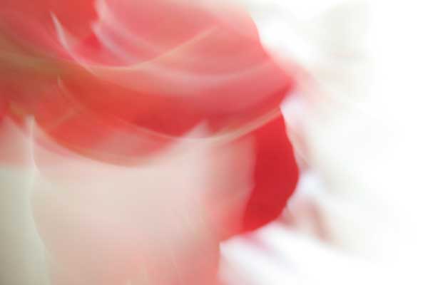 Flora flow