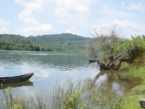 On the Banks of River Sharavathi, Western Ghats...