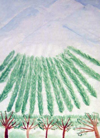 Field.