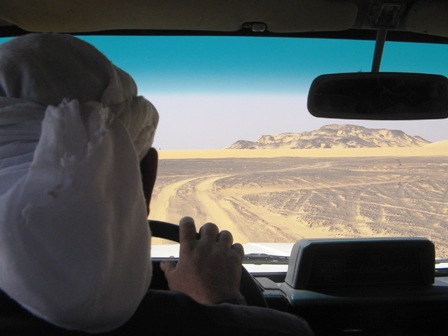 Bahariya Oases 16