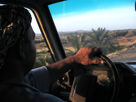 Bahariya Oases 17