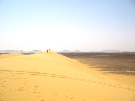 Bahariya Oases 21