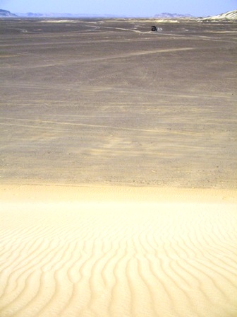 Bahariya Oases 23
