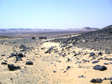 Bahariya Oases 24