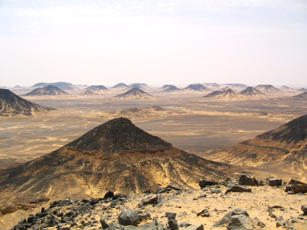 Bahariya Oases 26
