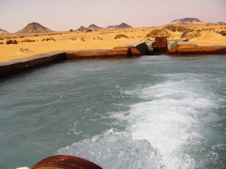 Bahariya Oases 27