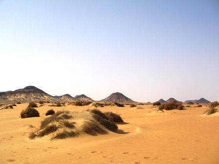 Bahariya Oases 28