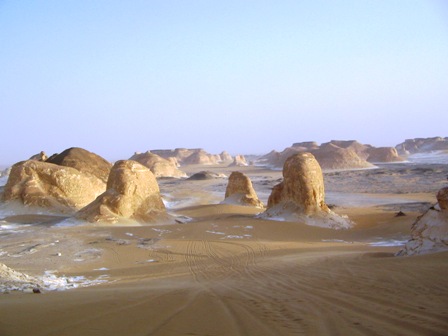 Bahariya Oases 29