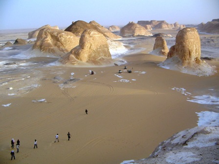Bahariya Oases 30