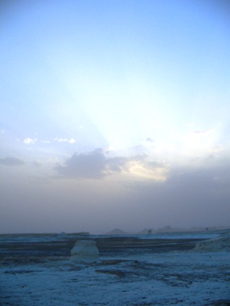 Bahariya Oases 31