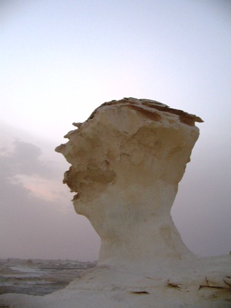 Bahariya Oases 32