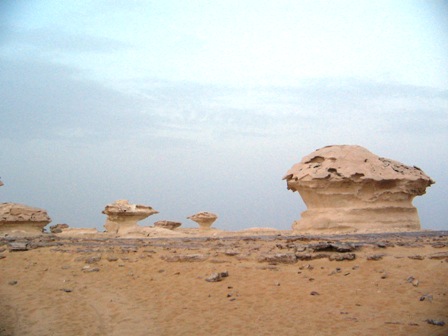 Bahariya Oases 33