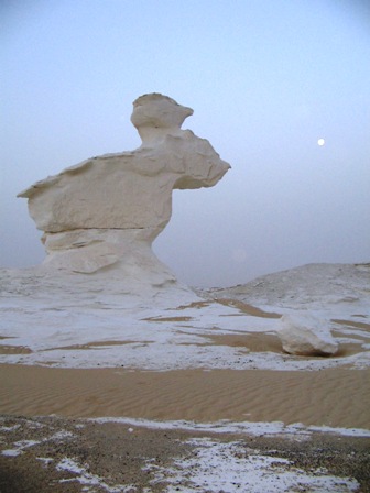 Bahariya Oases 37
