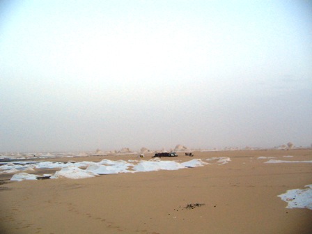 Bahariya Oases 39