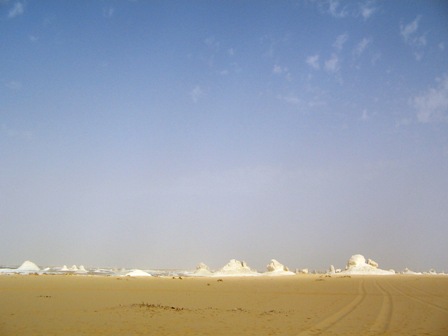 Bahariya Oases 40