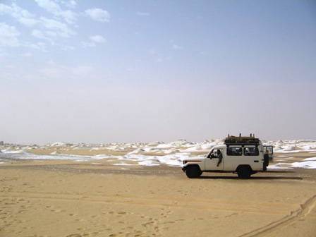 Bahariya Oases 41