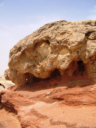 Bahariya Oases 42
