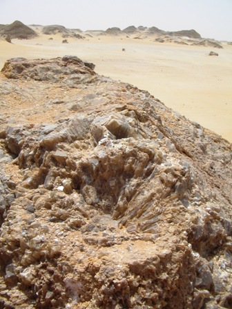 Bahariya Oases 43