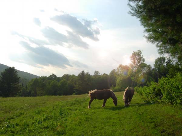 Vermont Range