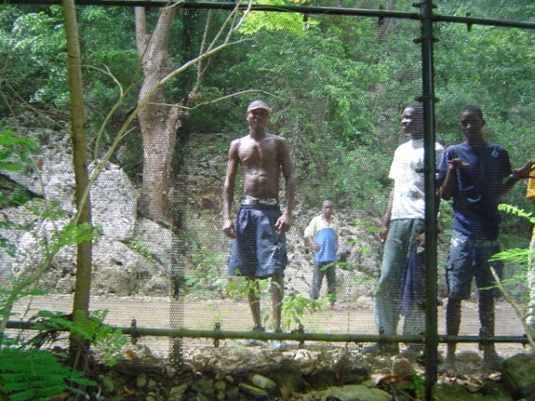 The Wall of Haiti