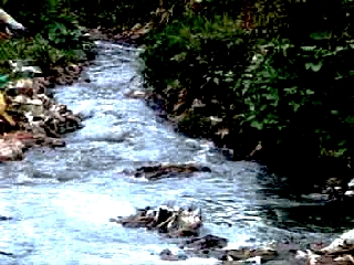River River Flowing