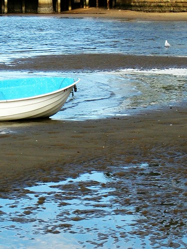 Boat and Shore - March 2003