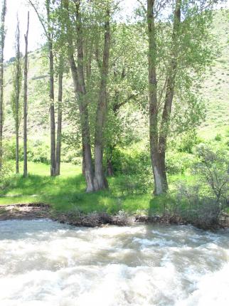 Garni and Geghard River